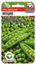 Горох Муцио 4г (Сиб Сад)