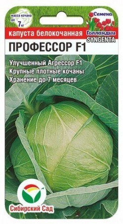 Капуста белокочанная Профессор F1 10шт (Сиб Сад)