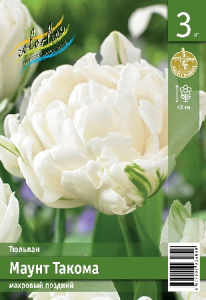 Тюльпан Маунт Такома 45см 11/12 7 шт
