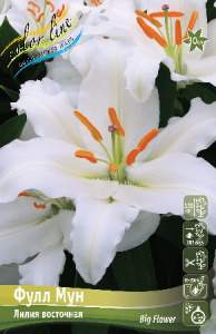 ЛИЛИЯ OR ФУЛЛ МУН 13/14 5 шт