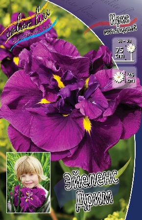 КОЧЕДЫЖНИК ФРИЗЕЛЛИ I 1 шт