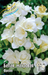 Фрезия Белая, Махровая 60-70 5/6 200 шт