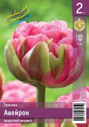 Тюльпан Авейрон 45см 11/12 3 шт