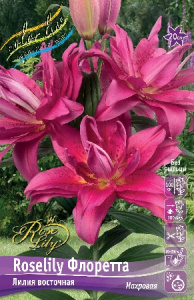 Лилия ORD ROSELILY ФЛОРЕТТА 12/14 1 шт