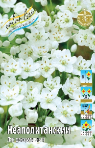 Лук декор. Неаполитанский 35 5/+ 200 шт