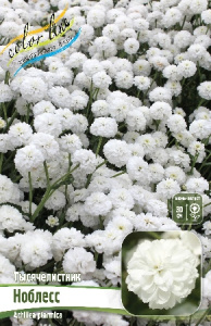 ТЫСЯЧЕЛИСТНИК НОБЛЕСС I 1 шт