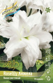 Лилия ORD ROSELILY АНЖЕЛА 12/14 1 шт