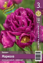 Тюльпан Мариола 50см 11/12 2 шт