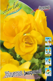 Фрезия Желтая, Махровая 60-70 5/6 10 шт