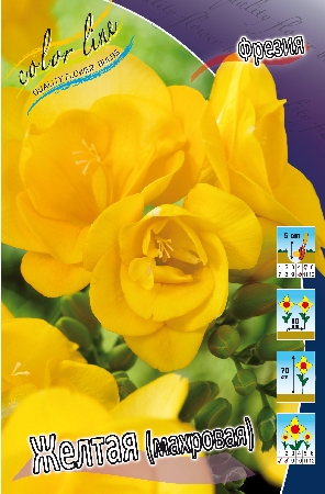 Фрезия Желтая, Махровая 60-70 5/6 10 шт