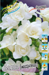 Фрезия Белая, Махровая 60-70 5/6 10 шт