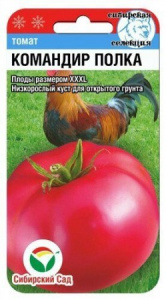 Томат Командир полка 20шт (Сиб Сад)