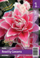 ЛИЛИЯ ORD ROSELILY САМАНТА 12/14 5 шт