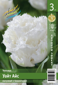 Тюльпан Уайт Айс 45см 11/12 2 шт