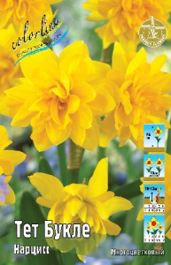 Нарцисс Тет Букле 25см 12/14 75 шт