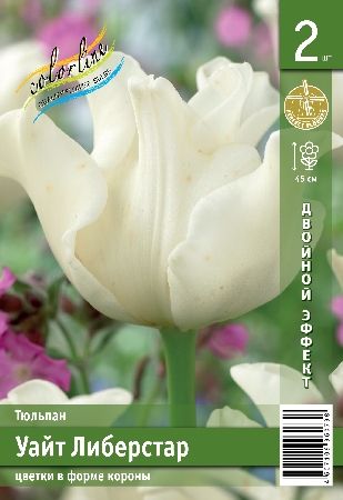 Тюльпан Уайт Либерстар 45см 11/12 5 шт
