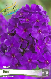 ФЛОКС КИНГ (ЗЕ КИНГ) I 2 шт