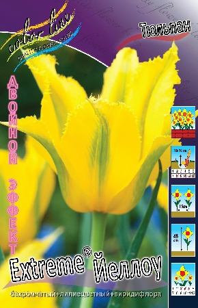 Ранункулюс Смесь 50-60 7/8 5 шт