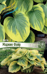 ХОСТА МЭДЖИК ФАЙР 1 n 1 шт