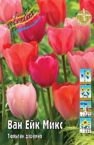 Тюльпан Ван Ейк Микс 60см 11/12 100 шт