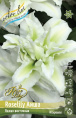 Лилия ORD ROSELILY АИША 12/14 1 шт