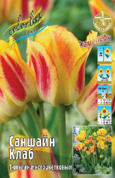 Тюльпан Саншайн Клаб 50см 11/12 7 шт