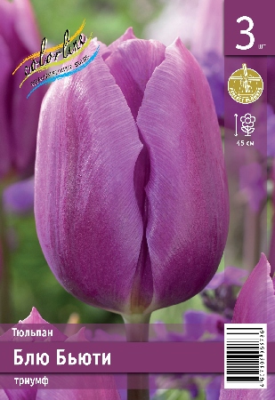 Тюльпан Блю Бьюти 45см 11/12 8 шт