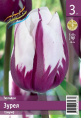 Тюльпан Зурел 45см 11/12 2 шт