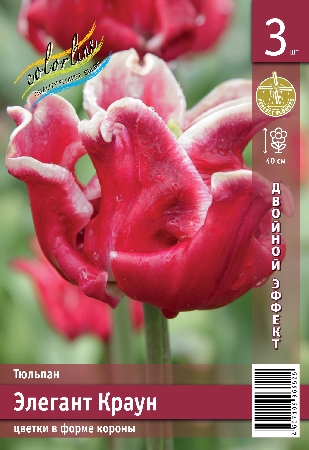 Тюльпан Элегант Краун 40см 11/12 7 шт