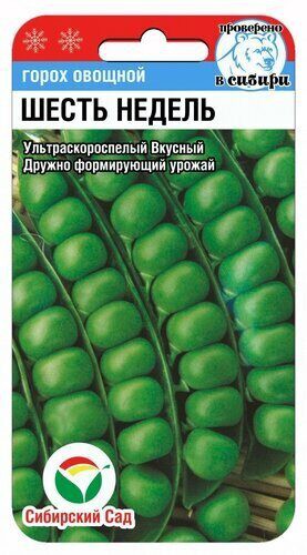 Горох 6 недель 5г (Сиб Сад)