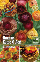 Ранункулюс Пикоти Кафе О Лей 30-40 5/6 100 шт