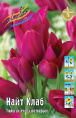 Тюльпан Найт Клаб 50см 11/12 7 шт