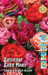 Тюльпан Даззлинг Дабл Микс 45см 11/12 50 шт
