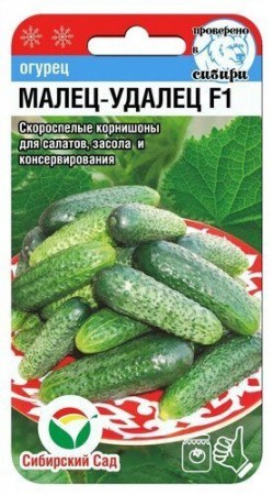 Огурец Малец-удалец F1 7шт (Сиб сад)