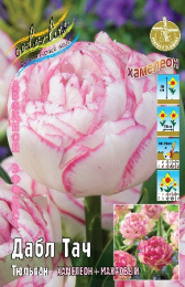 Тюльпан Дабл Тач 45см 11/12 50 шт