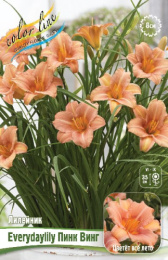 ЛИЛЕЙНИК EVERYDAYLILY ПИНК ВИНГ I 1 шт